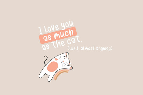 Barbadine Du Soire Font Cotton White Studio 