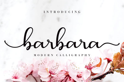 Barbara Calligraphy Font AEN Creative Store 