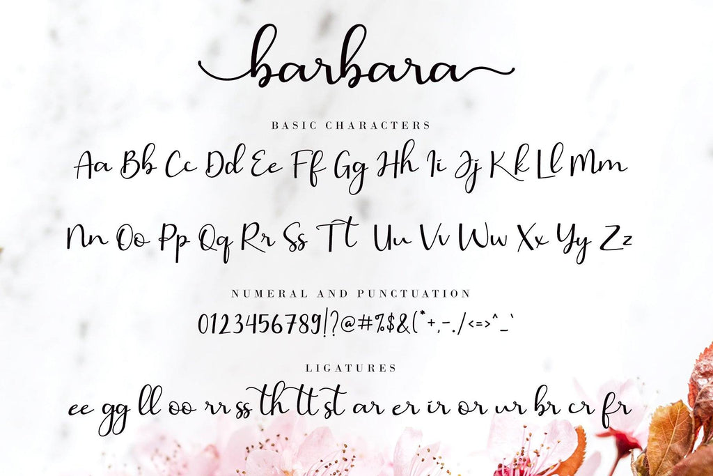 Barbara In Cursive Barbara Calligraphy - So Fontsy