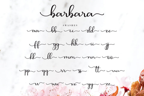 Barbara Calligraphy Font AEN Creative Store 