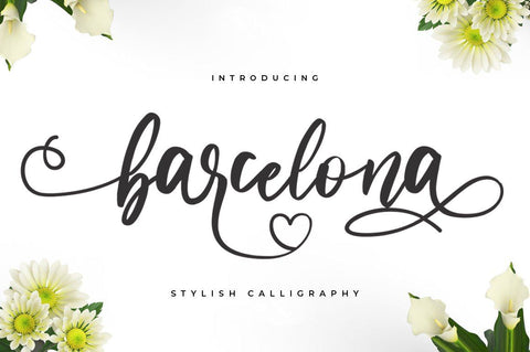 Barcelona - Handwritten Font Font Vultype Co 