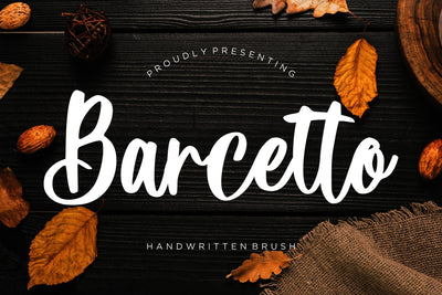 Barcetto Handwritten Brush Font Creatype Studio 