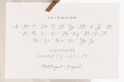 Baritone Harmony - Modern Script font Font Timur type 