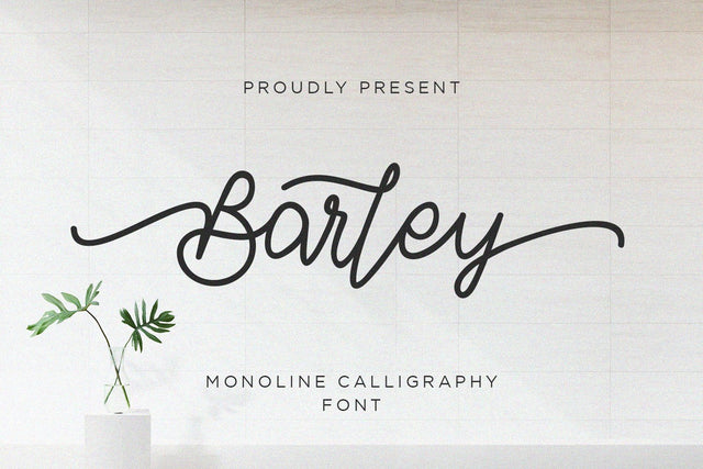 Barley - Monoline Calligraphy Font Alpaprana Studio 