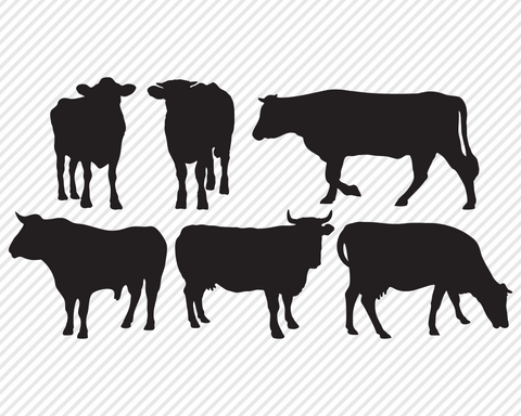 Barnyard Livestock Super Bundle | Country SVG SVG Texas Southern Cuts 