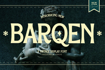 Barqen Typeface Font Storytype Studio 