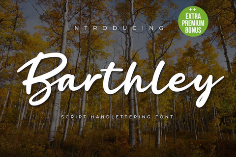 Barthley Font twinletter 