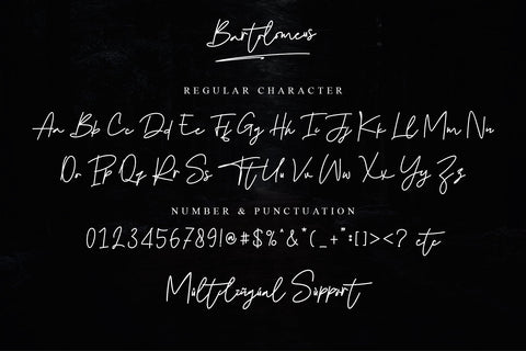 Bartolomeus Font Stefani Letter 
