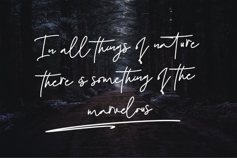 Bartolomeus Font Stefani Letter 