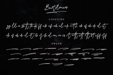 Bartolomeus Font Stefani Letter 