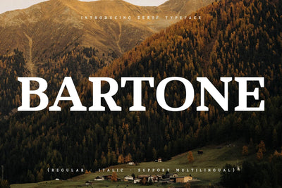 Bartone Typeface Font Storytype Studio 