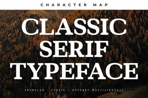 Bartone Typeface Font Storytype Studio 