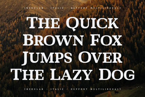 Bartone Typeface Font Storytype Studio 