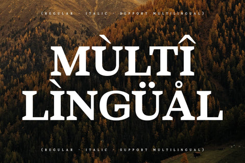 Bartone Typeface Font Storytype Studio 