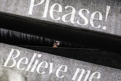 Bashield Typeface Font Storytype Studio 