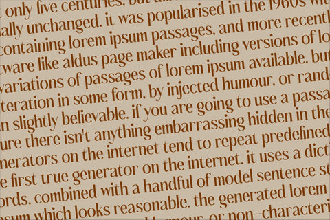 Bashield Typeface Font Storytype Studio 