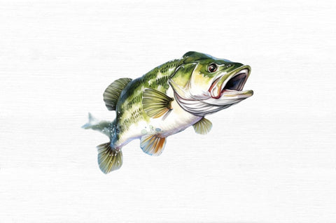 Bass Fishing Watercolor Art Clipart Bundle Sublimation Regulrcrative 