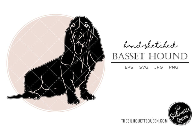 Basset Hound Hand sketched, hand drawn vector clipart SVG Loveleen Kaur 