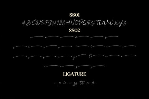 Basstian Font Letterena Studios 