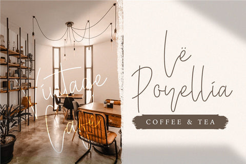 Baster Monky - Monoline Script Font Font StringLabs 