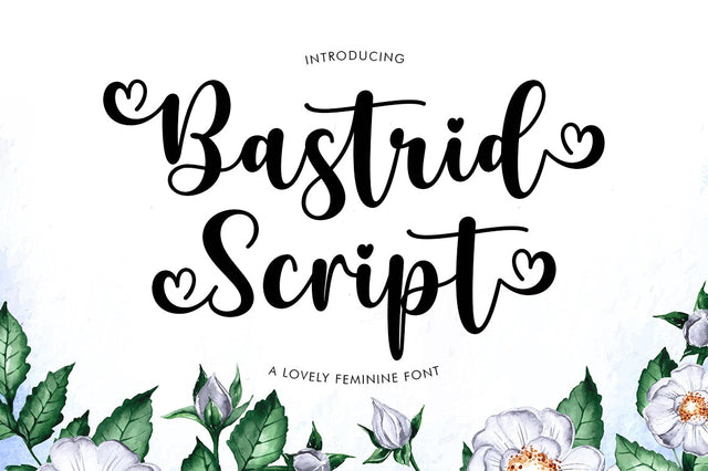 Bastrid Script Font Attract Studio 