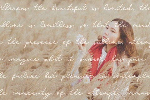 Bathilda - Monoline Font Font Subectype Studio 