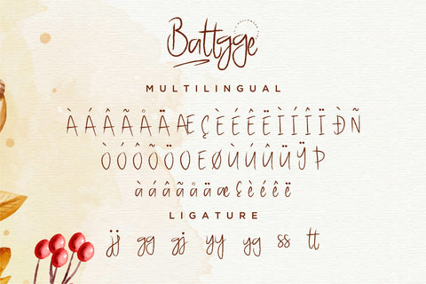 Battgge Font Letterena Studios 