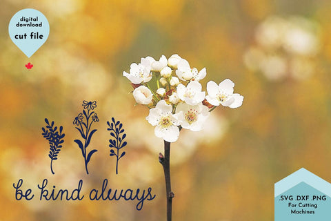 Be Kind Always Hand Drawn Flowers SVG Cut File SVG Lettershapes 