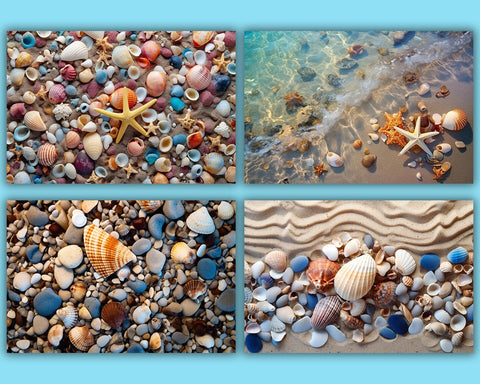 Beach Background, Sea Shells, Sea Stars, Sun Reflection, JPG Sublimation nikola 