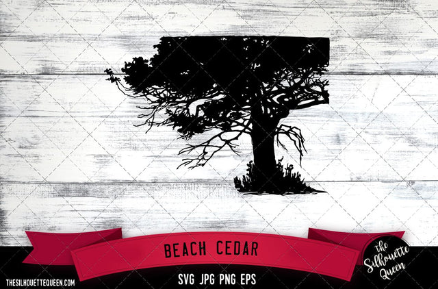 Beach Cedar SVG -Vector Art Commercial & Personal Use- Cricut,Silhouette,Cameo,Vinyl Cut SVG Loveleen Kaur 