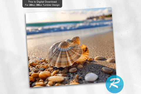 Beach Shell 20 Oz / 30 Oz Tumbler PNG Sublimation Regulrcrative 