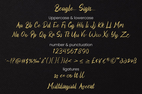 Beagle Sign - Handwritting Font Font Attype studio 