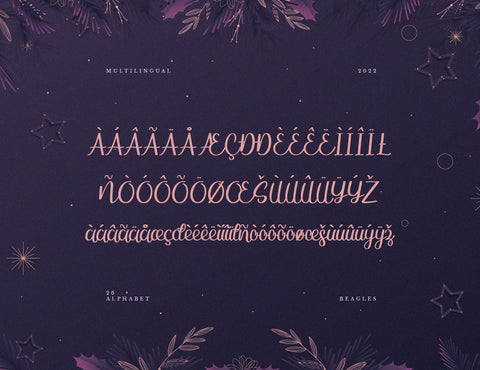 Beagles Script Handwriting Font inferno.studio3 