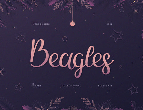 Beagles Script Handwriting Font inferno.studio3 