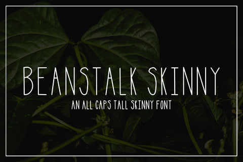Beanstalk Skinny Font Font The Pixel Llama 