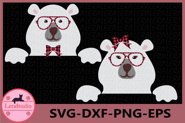 Bear Face svg SVG Lerastudio 