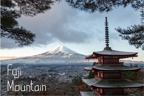 Bearbrond Font Masyafi Studio 