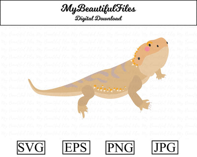 bearded dragon - animal SVG MyBeautifulFiles 