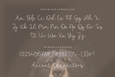 Bearline Casual Monoline Script Font Font Letterative 