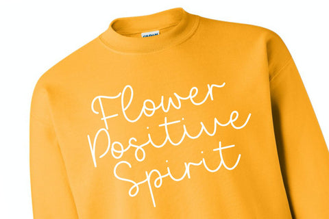 Bearline Casual Monoline Script Font Font Letterative 