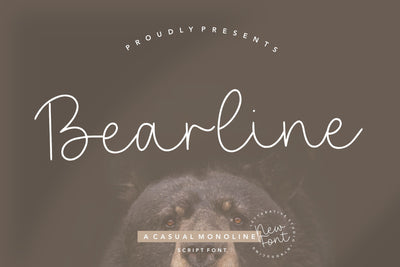 Bearline Casual Monoline Script Font Font Letterative 