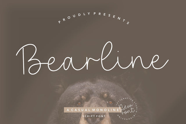 Bearline Casual Monoline Script Font Font Letterative 