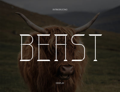 Beast Modern Display Font Font inferno.studio3 
