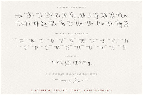 Beatrica Modern And Lovely Script Font Font Balpirick 