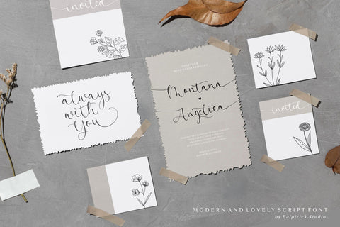 Beatrica Modern And Lovely Script Font Font Balpirick 
