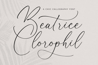 Beatrice Clorophil - Chic Calligraphy Font Font Storytype Studio 