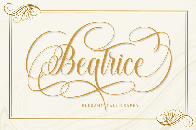 Beatrice Font Black Studio 