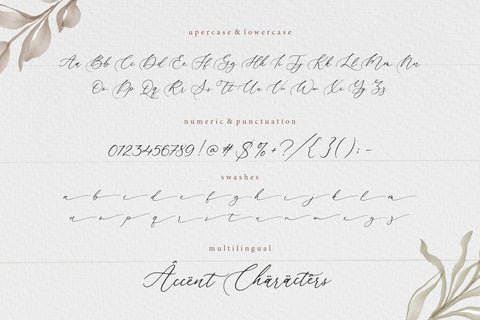 Beautica Beautiful Calligraphy Font Font Balpirick 