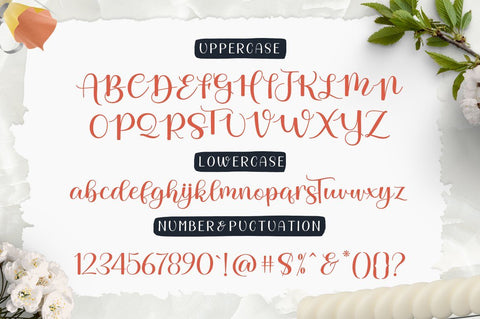 Beautiful Day Script- Font Duo Font AngelStudio 