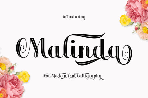 Beautiful Fonts Bundle Font Rtceative 